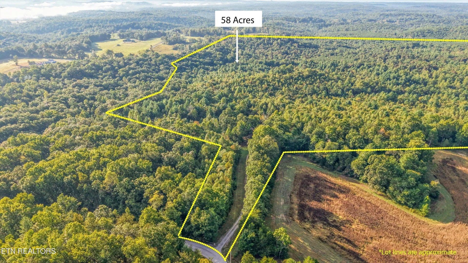59.5 Acres of Land for Sale in Sunbright, TN - Sunbright, Tennessee, 37872