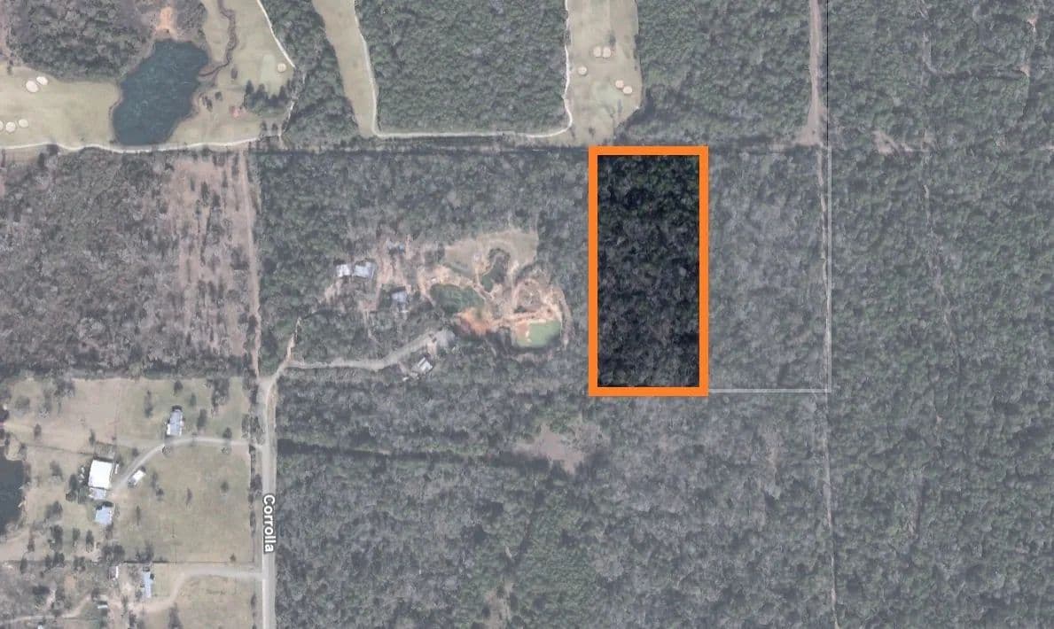 Vacant Land in Magnolia - Magnolia, Texas, 77354