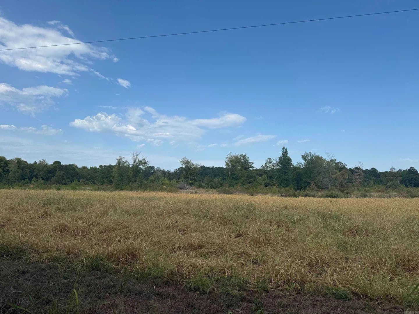 Lots & Land-Other in Prattsville - Prattsville, Arkansas, 72129