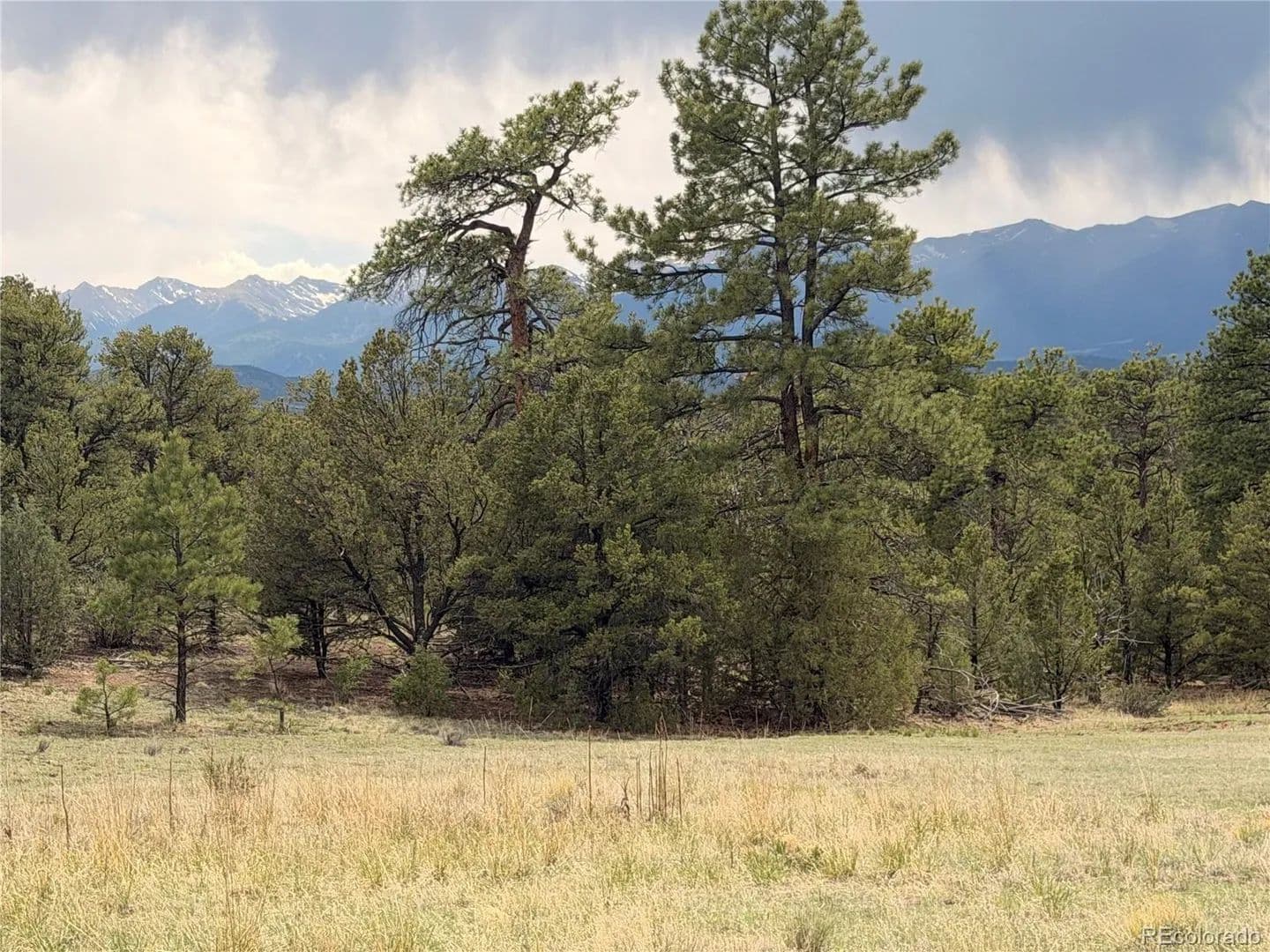 4.82 Acres of Land for Sale in Cotopaxi, CO - Cotopaxi, Colorado, 81223