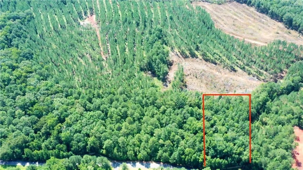 Vacant Land in Sparta - Sparta, Georgia, 31087