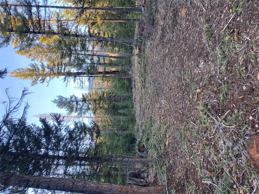 Property from 80 Blaney Lane - KW