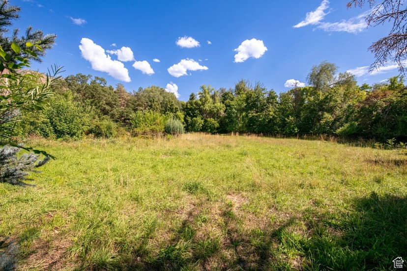 Vacant Land in Holladay