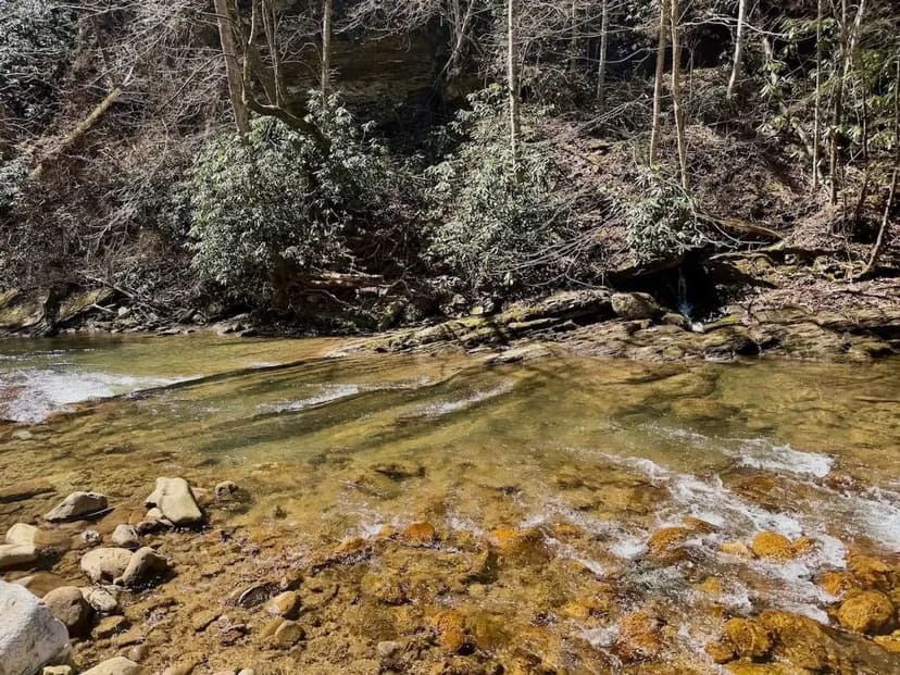 60.5 acres of recreational and residential land in Scott County, VA!