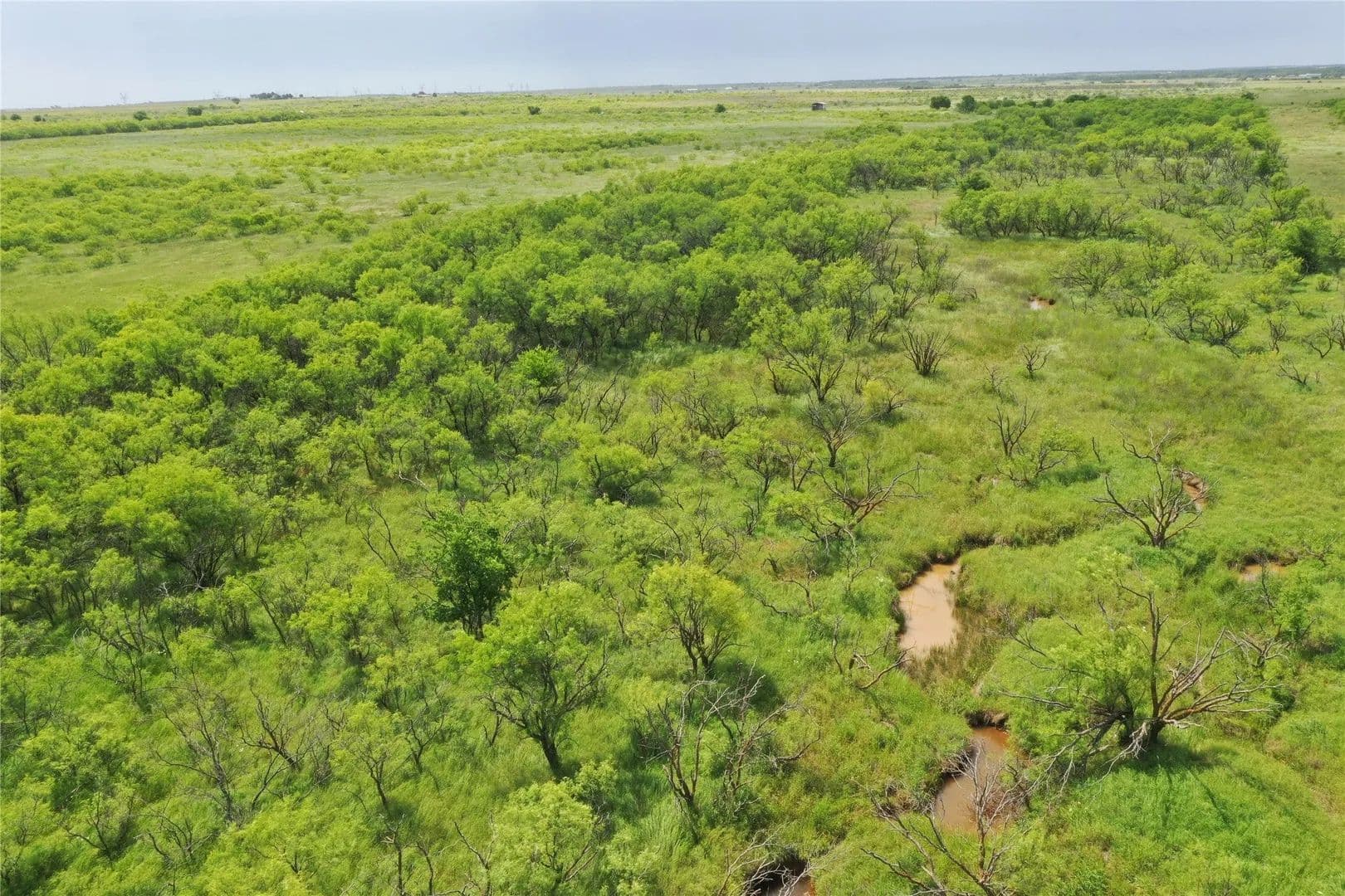 Lots & Land-Other in Bellevue - Bellevue, Texas, 76228