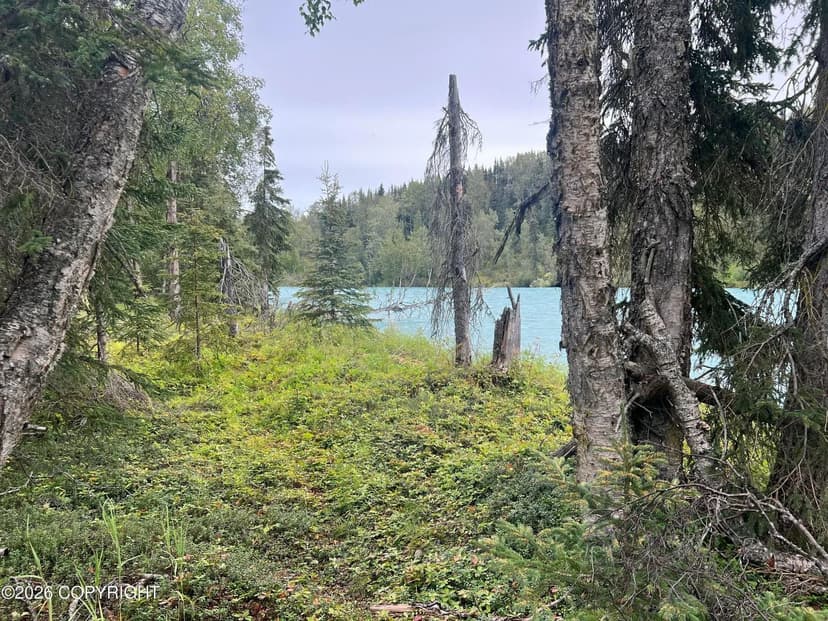 Vacant Land in Kasilof
