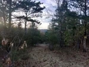 Lots & Land-Other in Omaha - Omaha, Arkansas, 72601