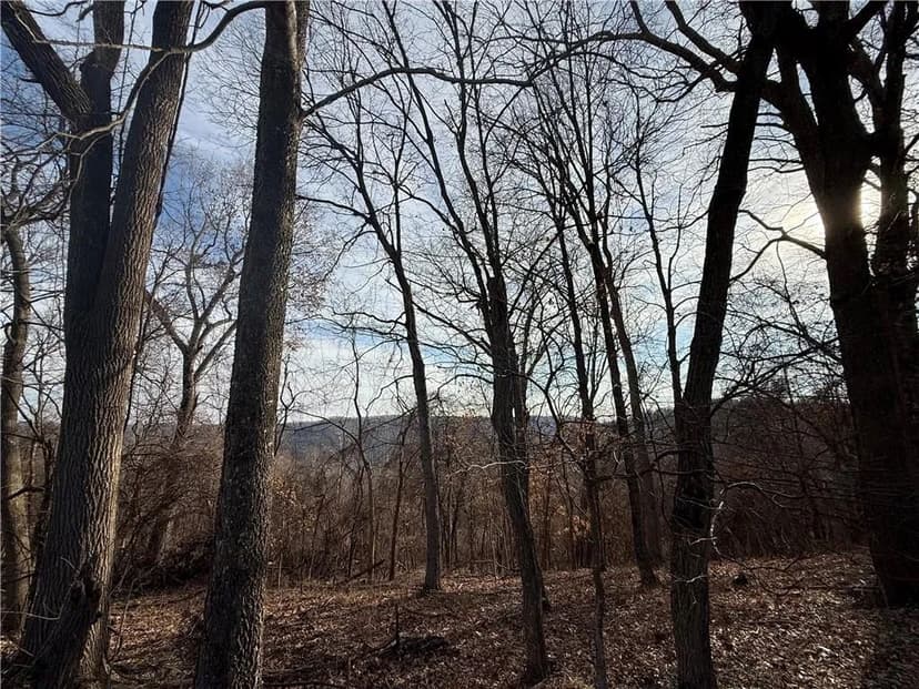 Lots & Land-Other in Holiday Island