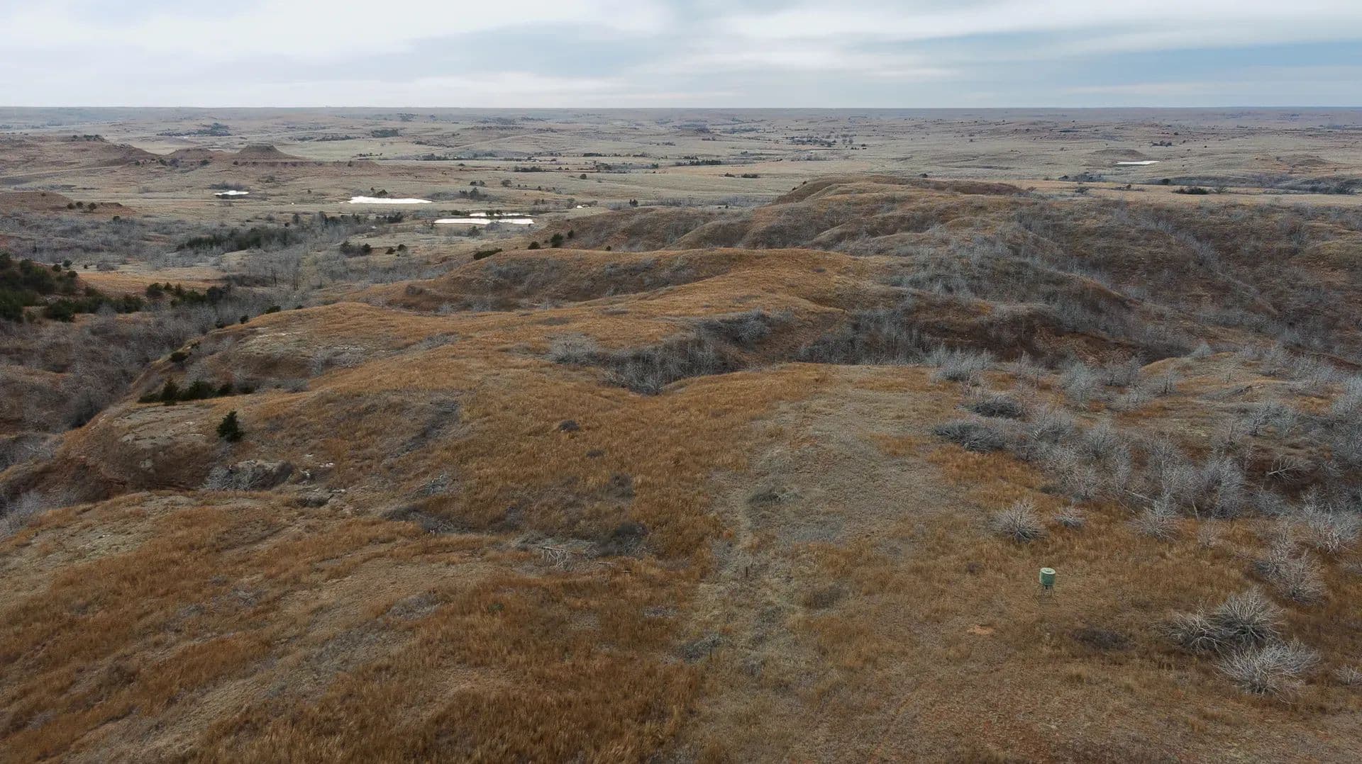 668.14 Acres of Land for Sale in Lake City, KS - Lake City, Kansas, 67071