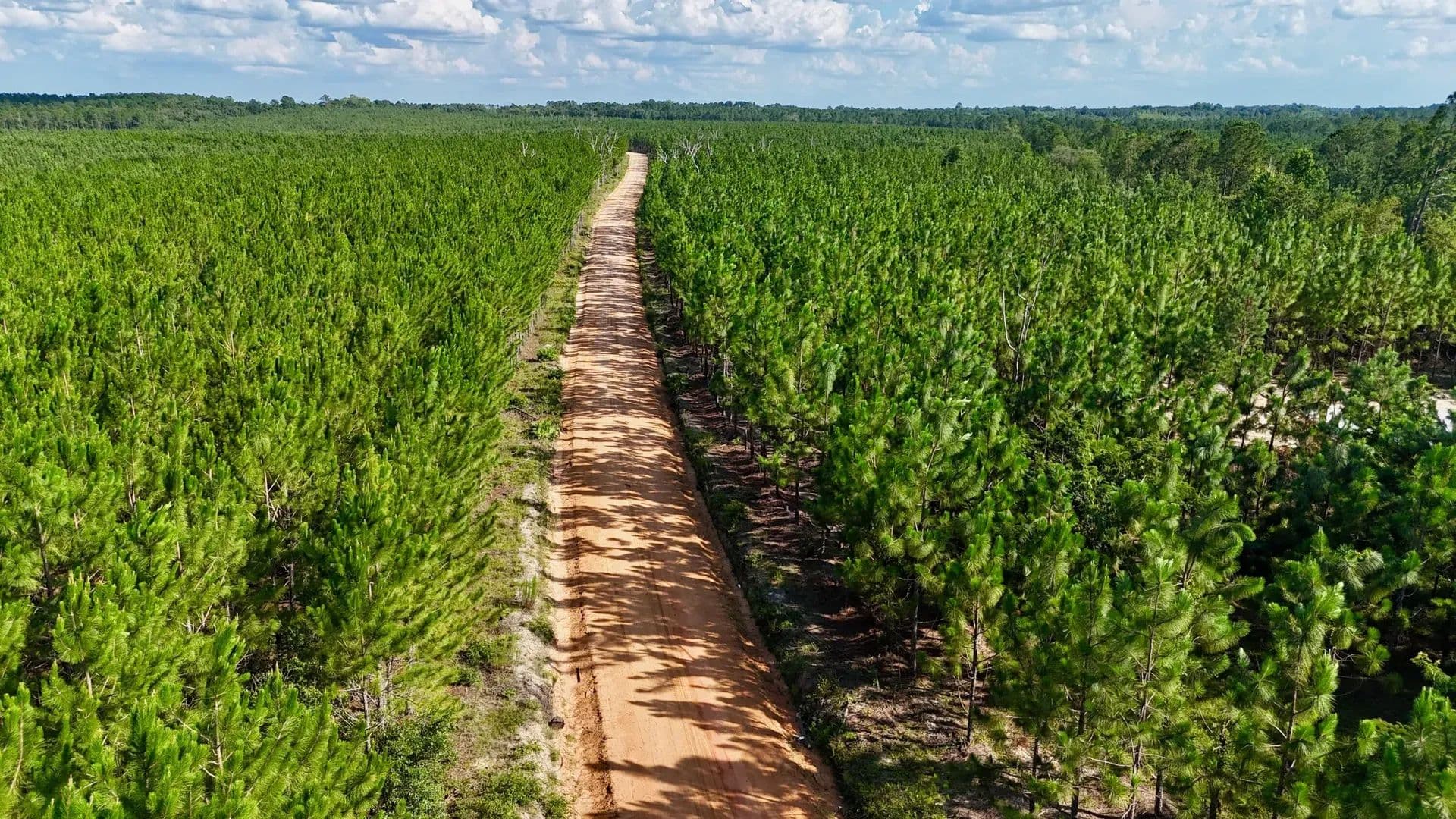 2 Acres of Land for Sale in Baxley, GA - Baxley, Georgia, 31513