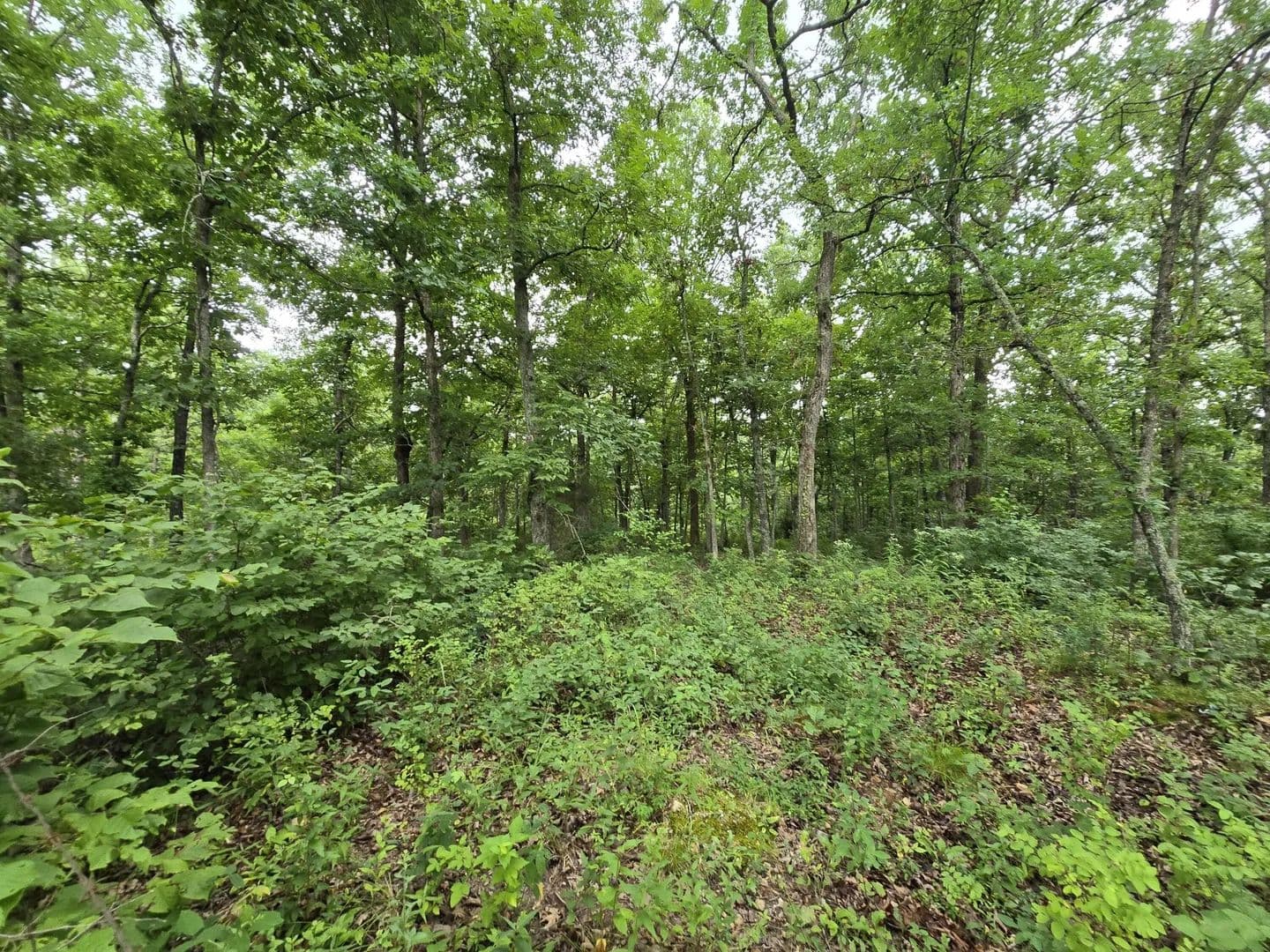 Lots & Land-Other in Cross Timbers - Cross Timbers, Missouri, 65634