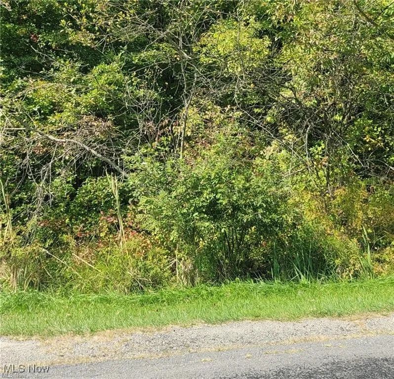 Property from New Milford Road - KW