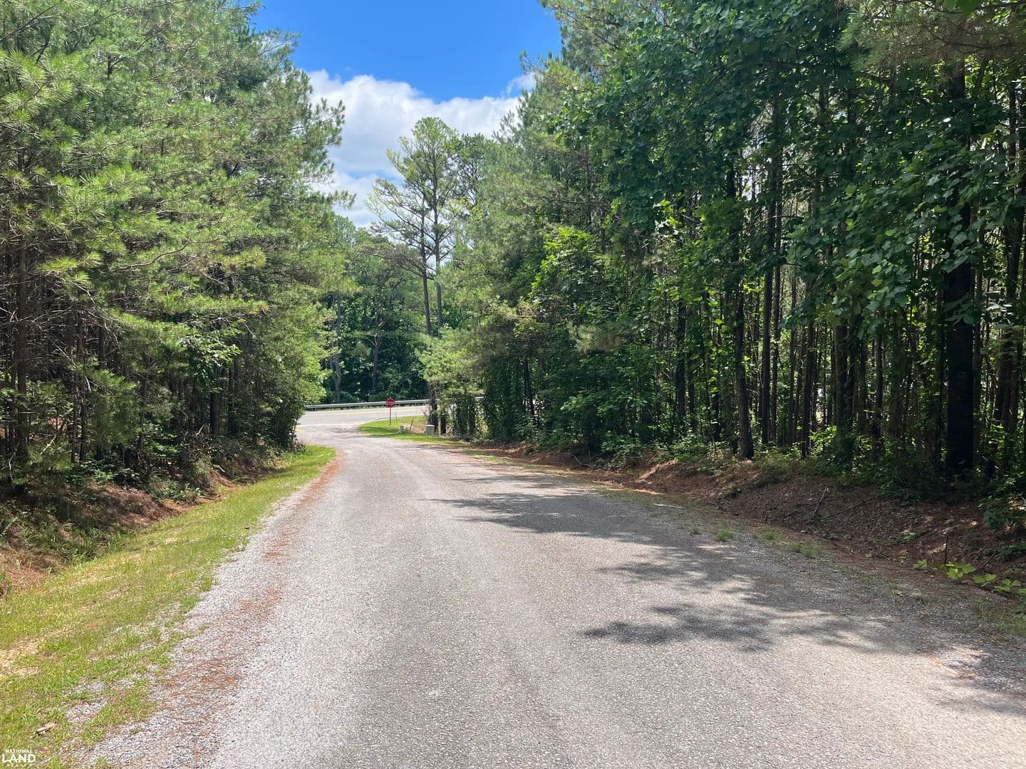 Eldridge Timber Investment and Rural Homesites - Eldridge, Alabama, 35554