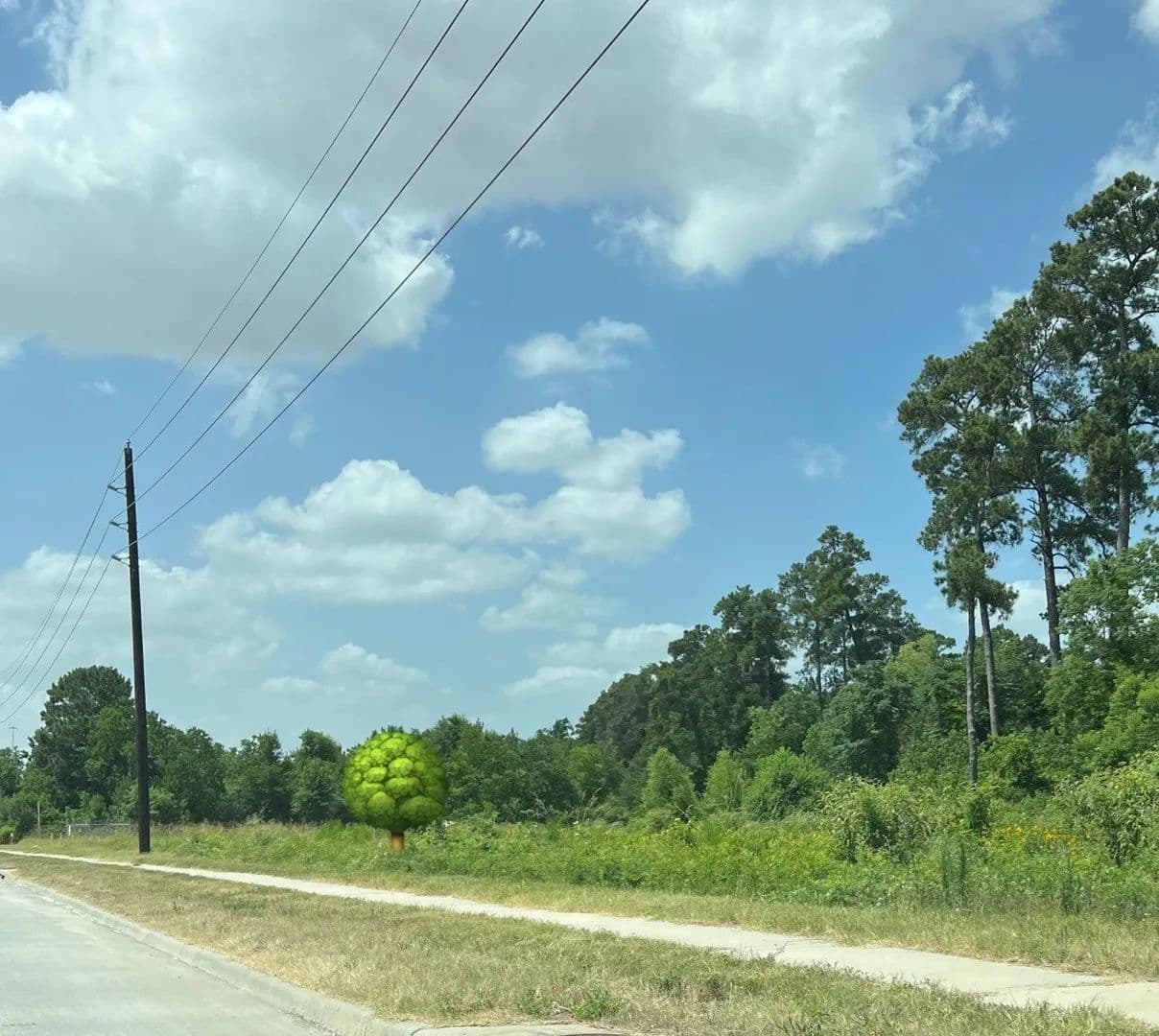 Lots & Land-Other in Tomball - Tomball, Texas, 77375