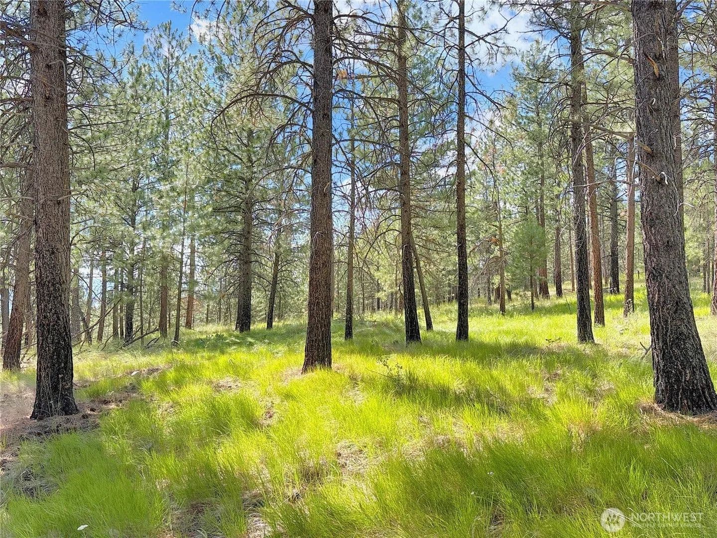 Lots & Land-Other in Riverside - Riverside, Washington, 98849