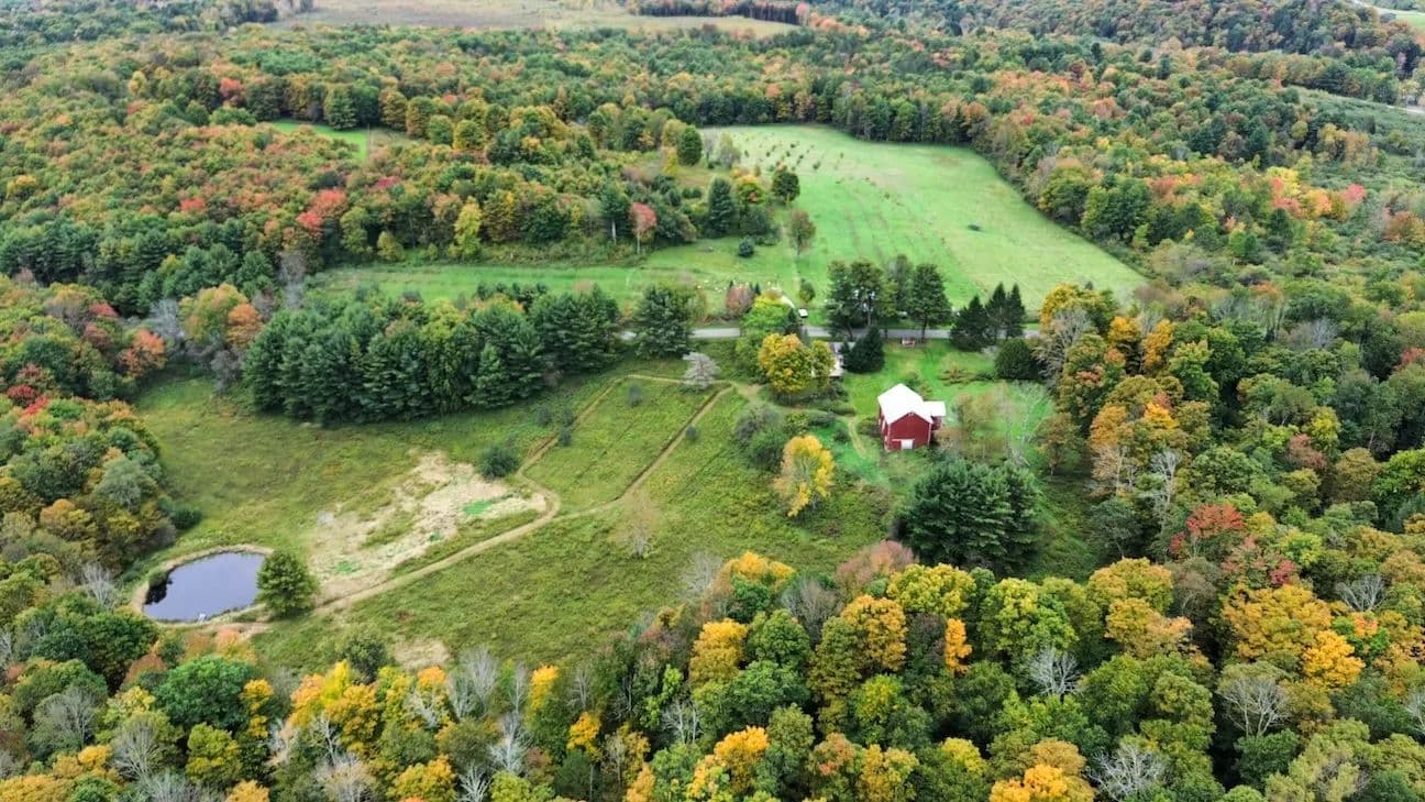Established 52 acre Farm with House, Barn, Chestnuts and Apple Orchard in Cincinnatus NY 5099 Conrad Rd - Cincinnatus, New York, 13040