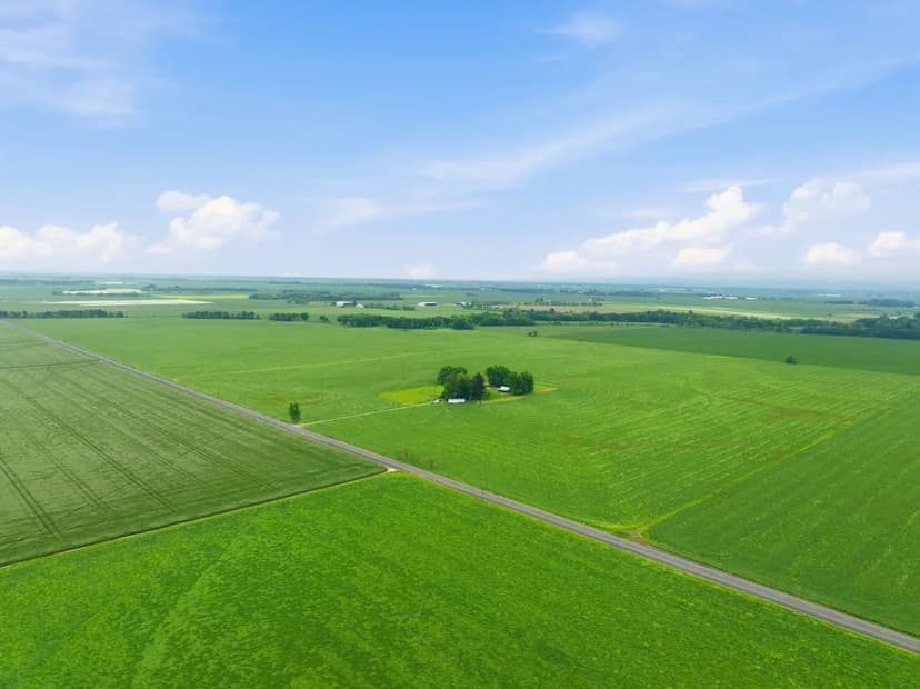 217.25 Acres - Farm House, Harrisburg, Oregon