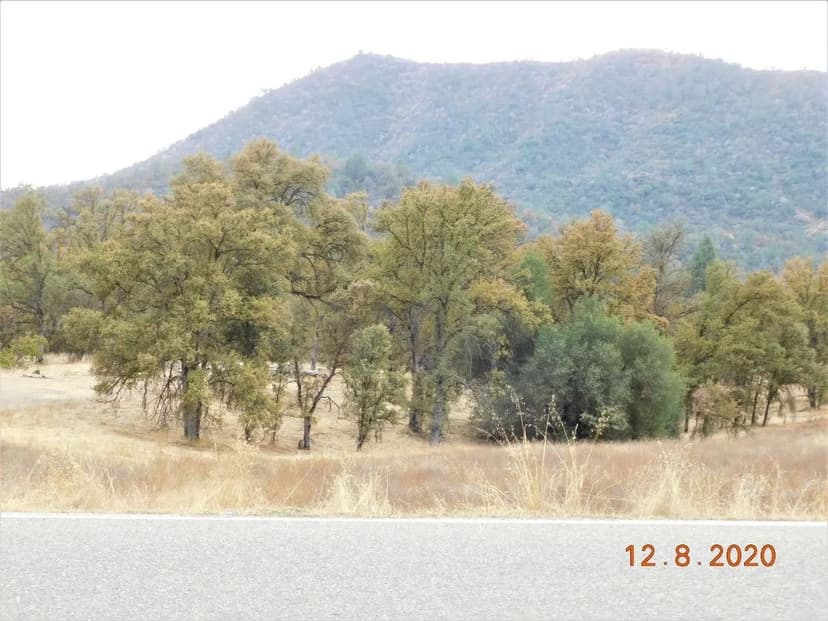 Lots & Land-Other in Tollhouse