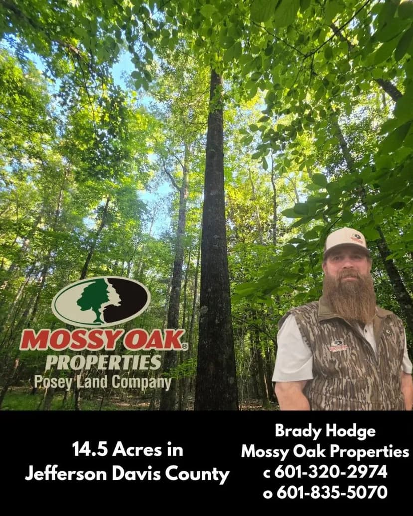13.5 Acres In Jeff Davis County