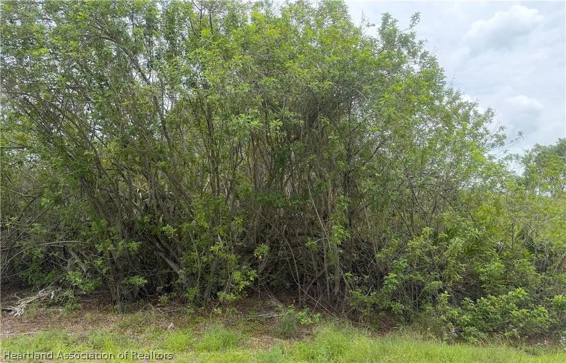 Property from 140 Fillmore Avenue - KW - Lake Placid, Florida, 33852