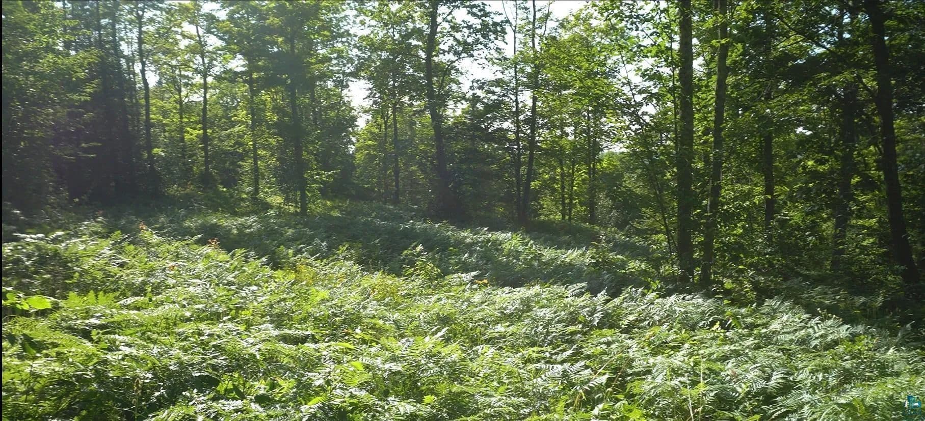 Vacant Land in Bayfield - Bayfield, Wisconsin, 54814