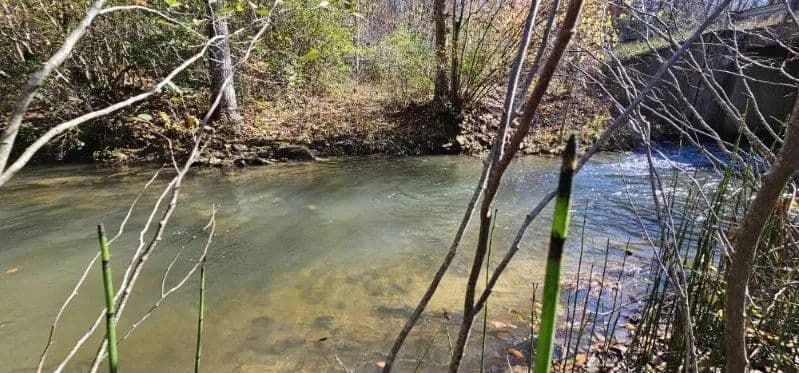 Vacant Land (10+ Acres) in Dunlap - Dunlap, Tennessee, 37327