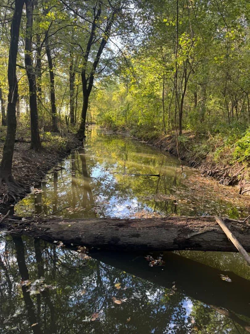 89 Acres in Jackson County, AR