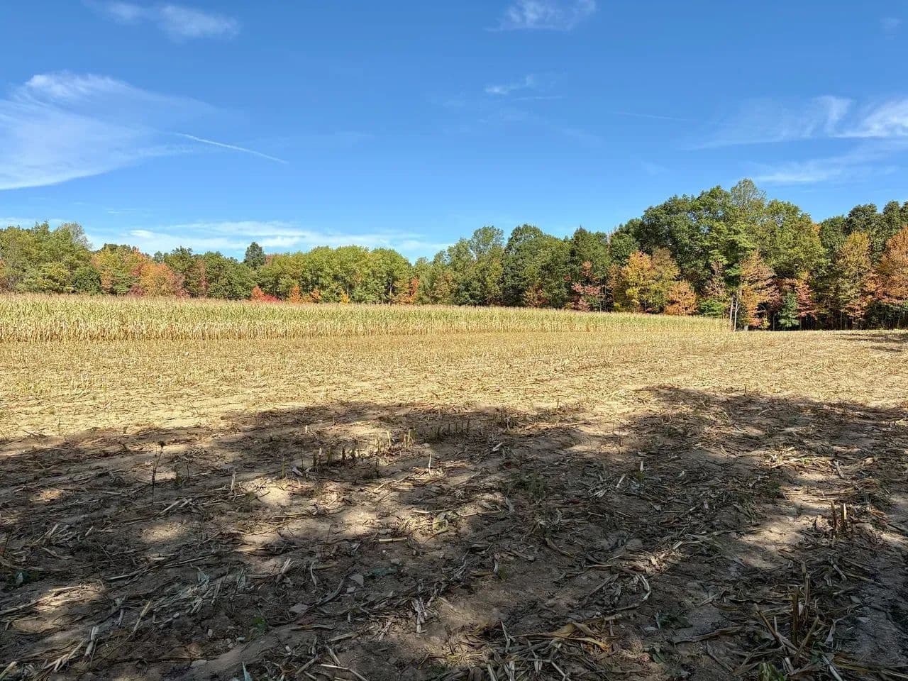 Nagle Rd., Cambria Couty - 40 ± Acres - Hastings, Pennsylvania, 16646