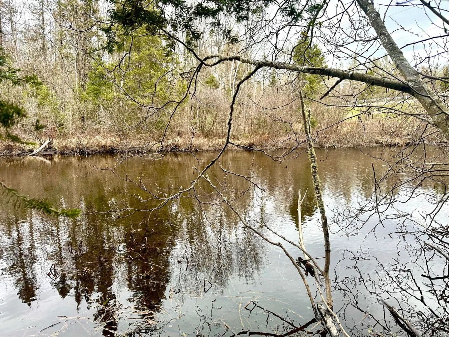 Vacant Land (0-10 Acres) in Phelps - Phelps, Wisconsin, 54554