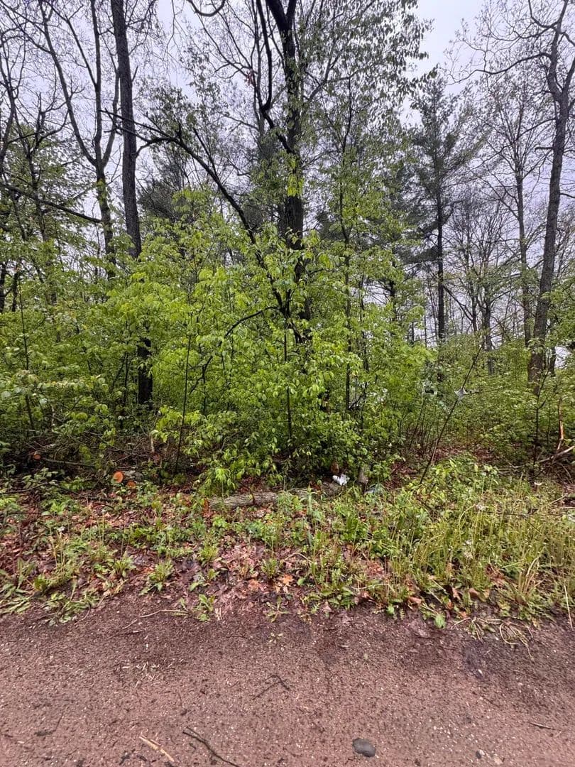 Property from V/L Paw Paw Trail - KW