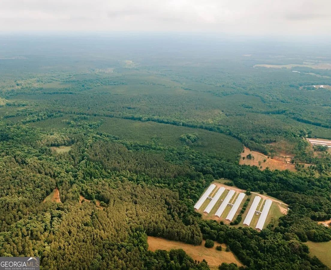 39.25 Acres of Land for Sale in Stephens, Georgia - Stephens, Georgia, 30667