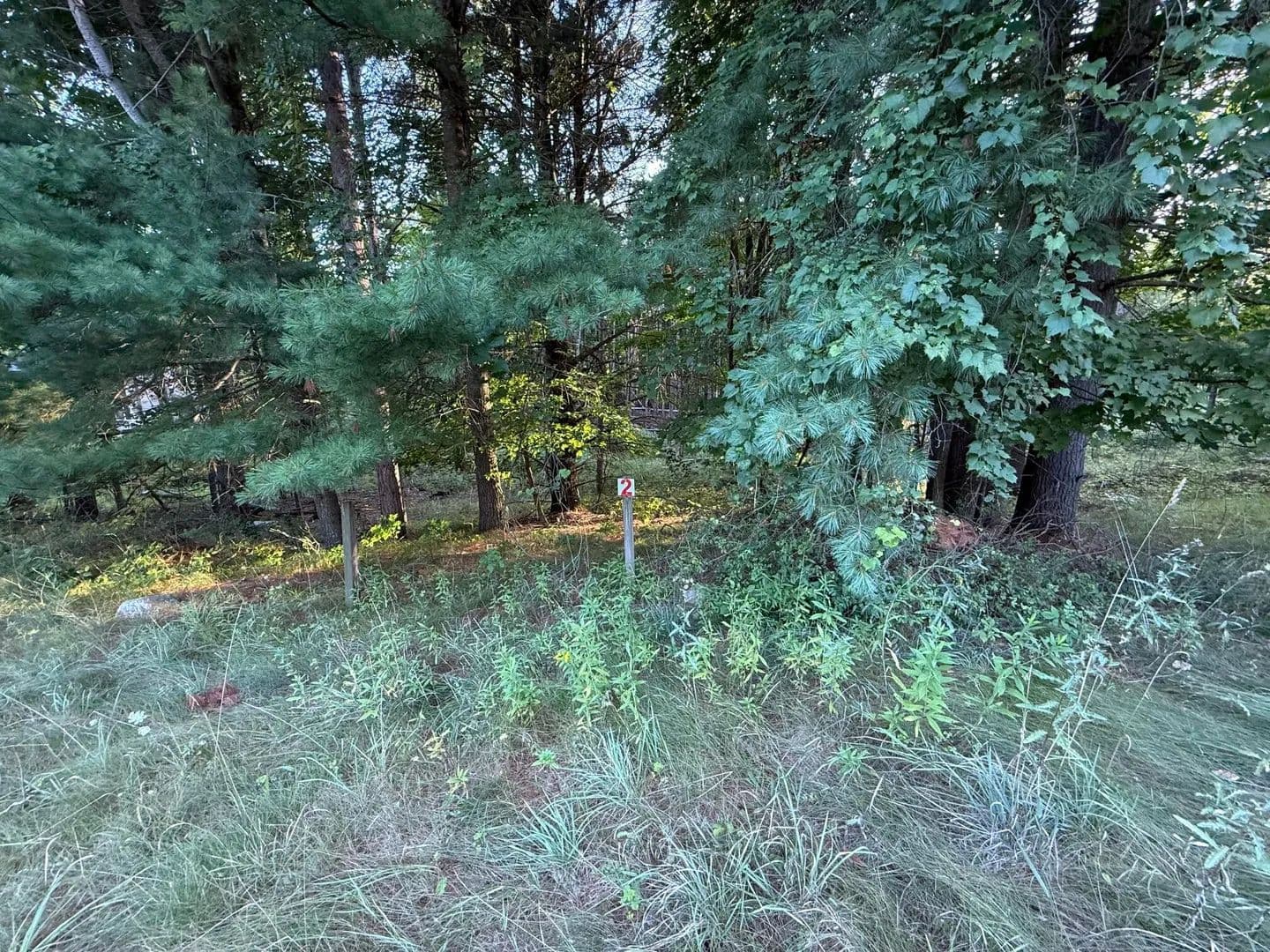 Lots & Land-Other in Big Rapids - Big Rapids, Michigan, 49307