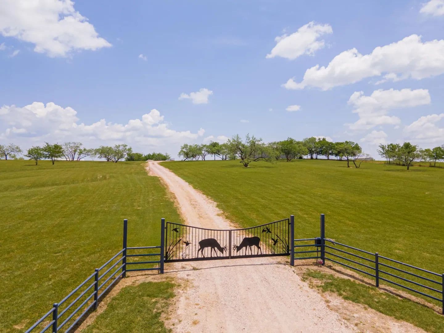 85.6 Acres of Land for Sale in Ennis, TX - Ennis, Texas, 75119