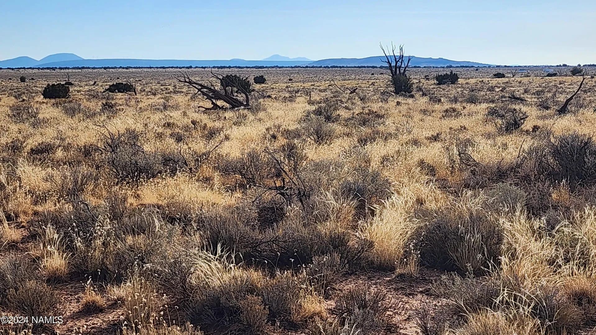 Lots & Land-Other in Williams - Williams, Arizona, 86046