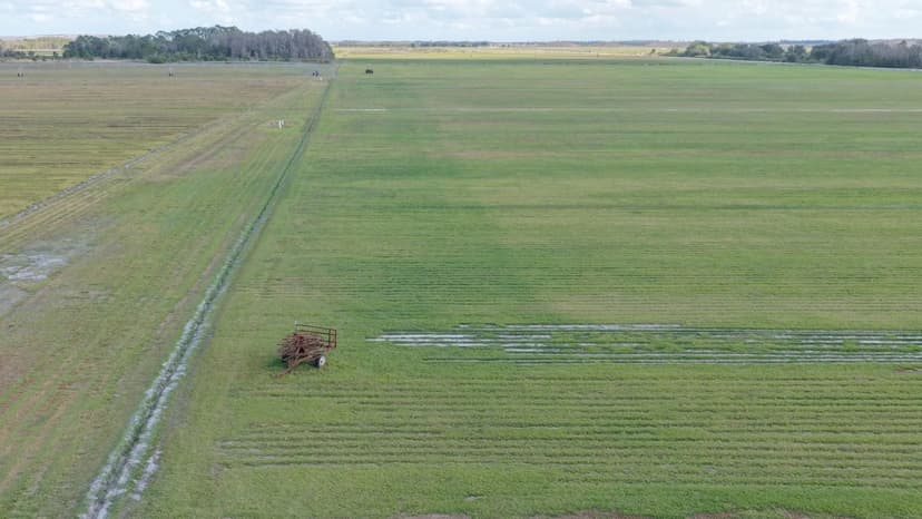 3,862 Acre Sod Operation