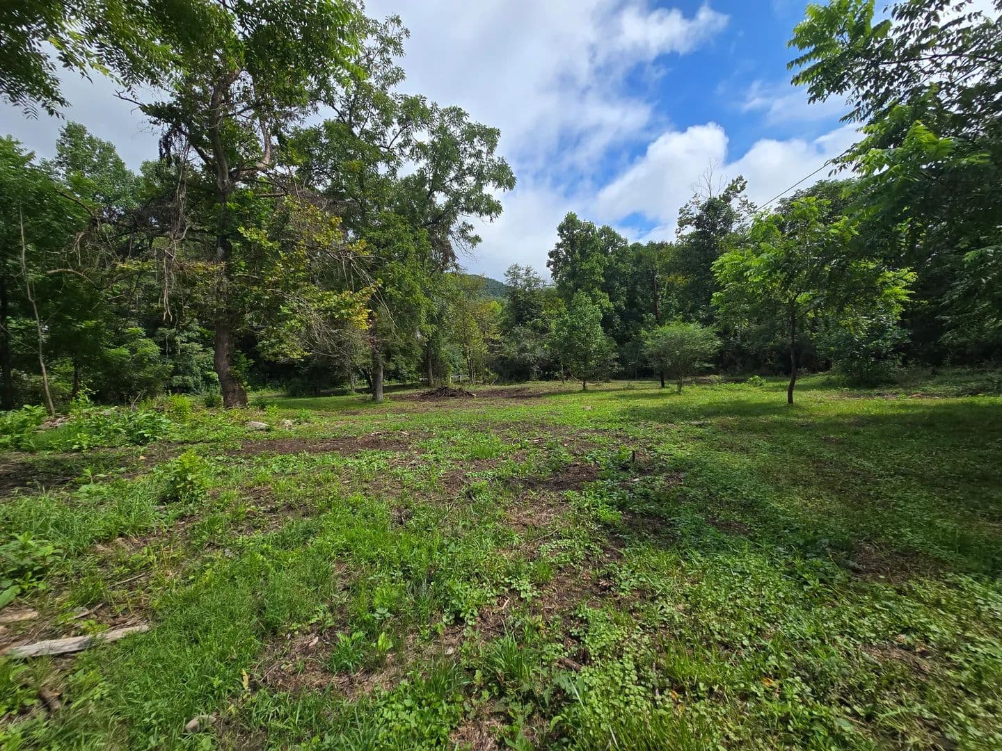 Land -Agricultural (Not Zoned) in Rose Hill - Rose Hill, Virginia, 24281