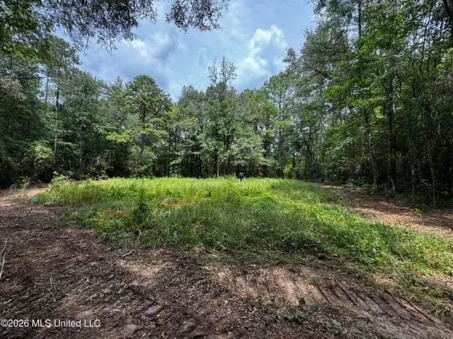 30 Acres of Mature Timber for Sale in Pike County, MS - Ruth, Mississippi, 39662