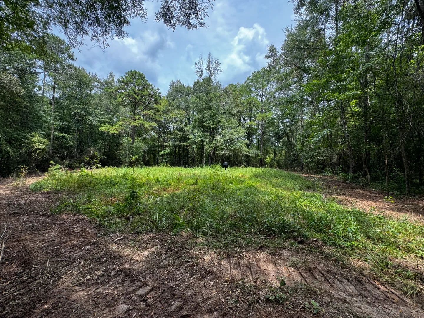 30 Acres of Mature Timber for Sale in Pike County, MS - Ruth, Mississippi, 39662