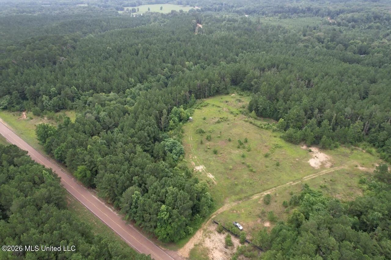 40 Acres of Land for Sale in Crosby, MS - Crosby, Mississippi, 39633