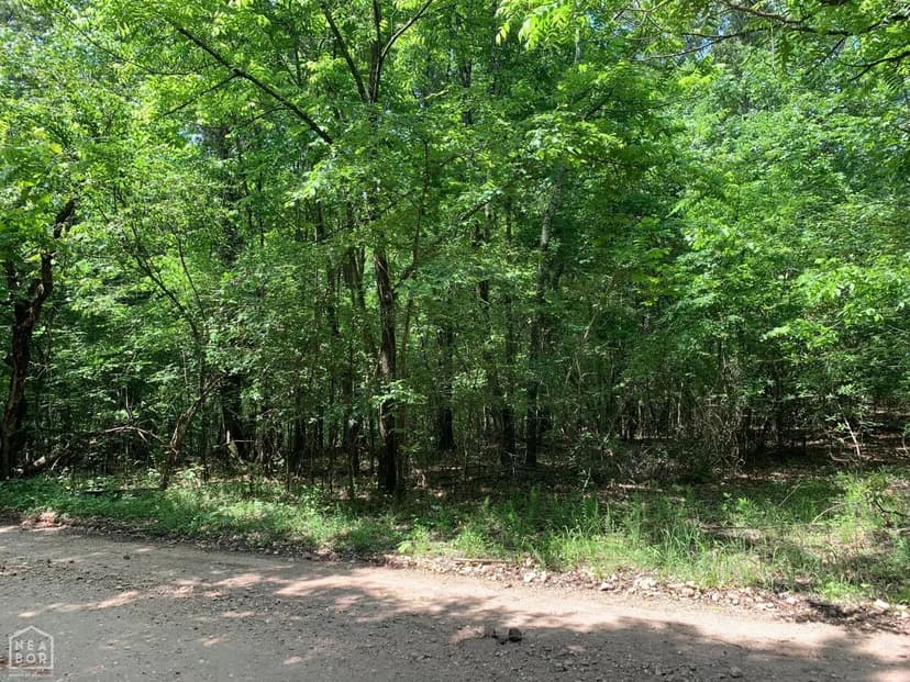 Land -Single Family Acreage in Bono