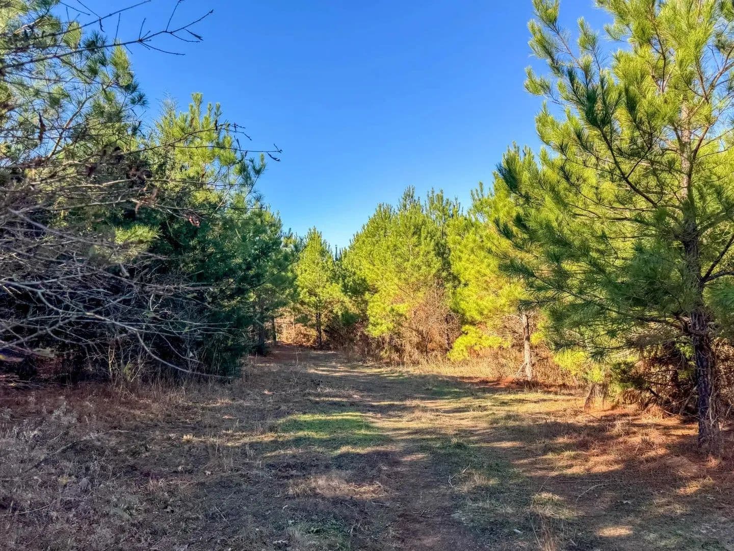 Lots & Land-Other in Linden - Linden, Texas, 75563