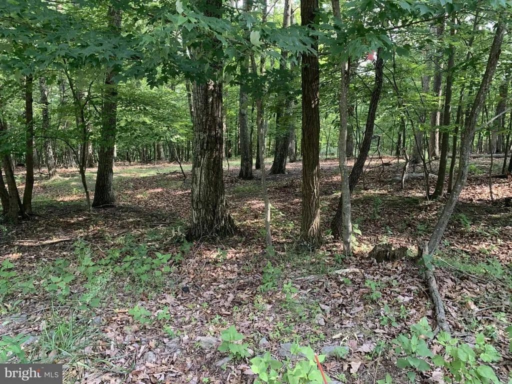 5 Acres of Land for Sale in HEDGESVILLE, WV - Hedgesville, West Virginia, 25427