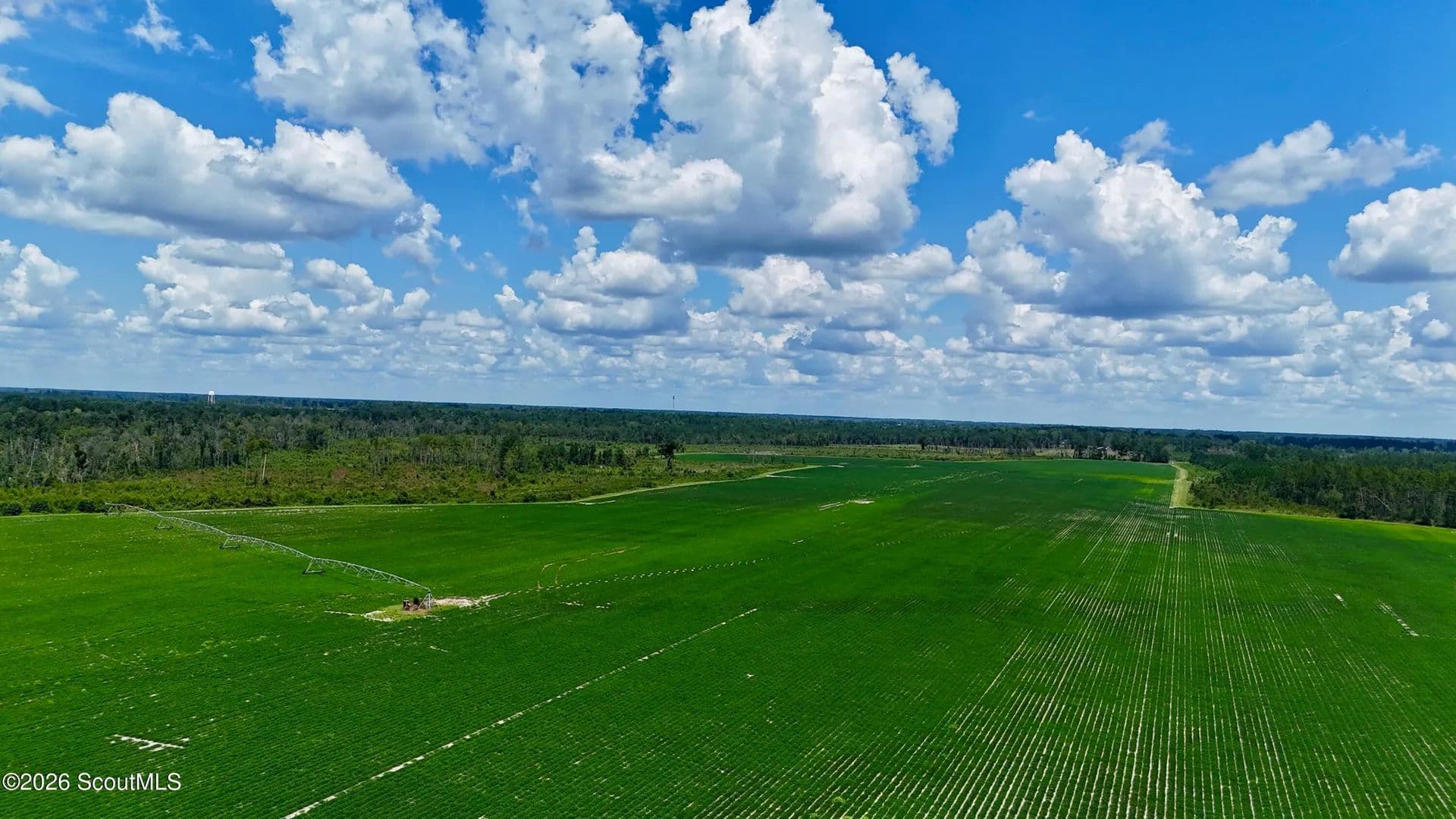 475 Acres of Land for Sale in Alma, GA - Alma, Georgia, 31510