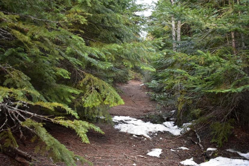 Lots & Land-Other in St. Maries