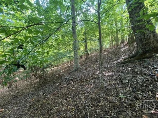 Vacant Land in Westminster - Westminster, South Carolina, 29693