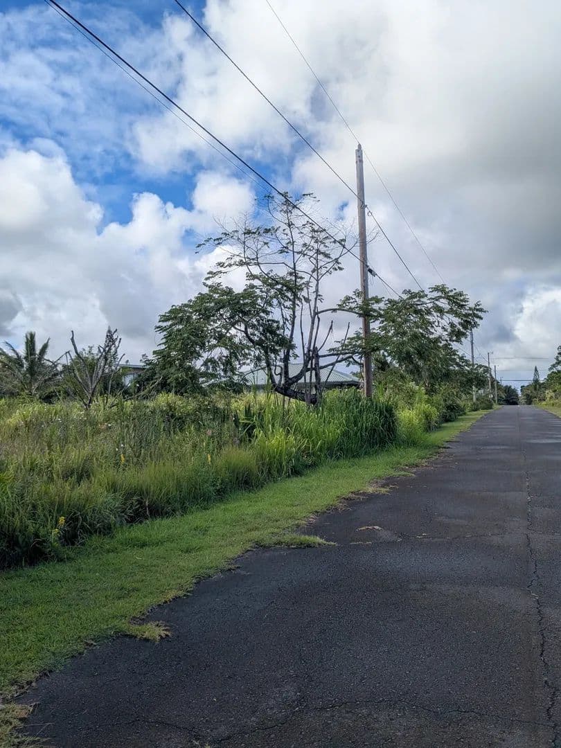 Property from 272 EELEKOA ST - KW - Pahoa, Hawaii, 96778