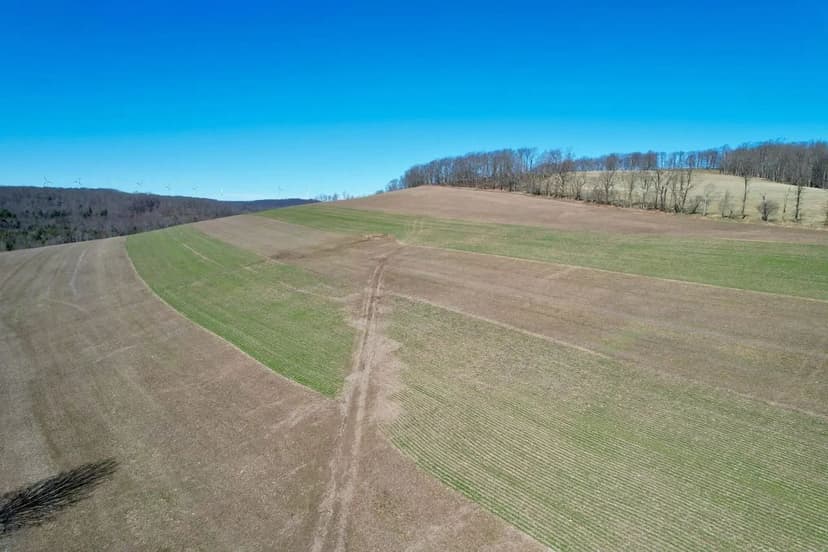 Deal Rd., Somerset County - 38 +/- Acres