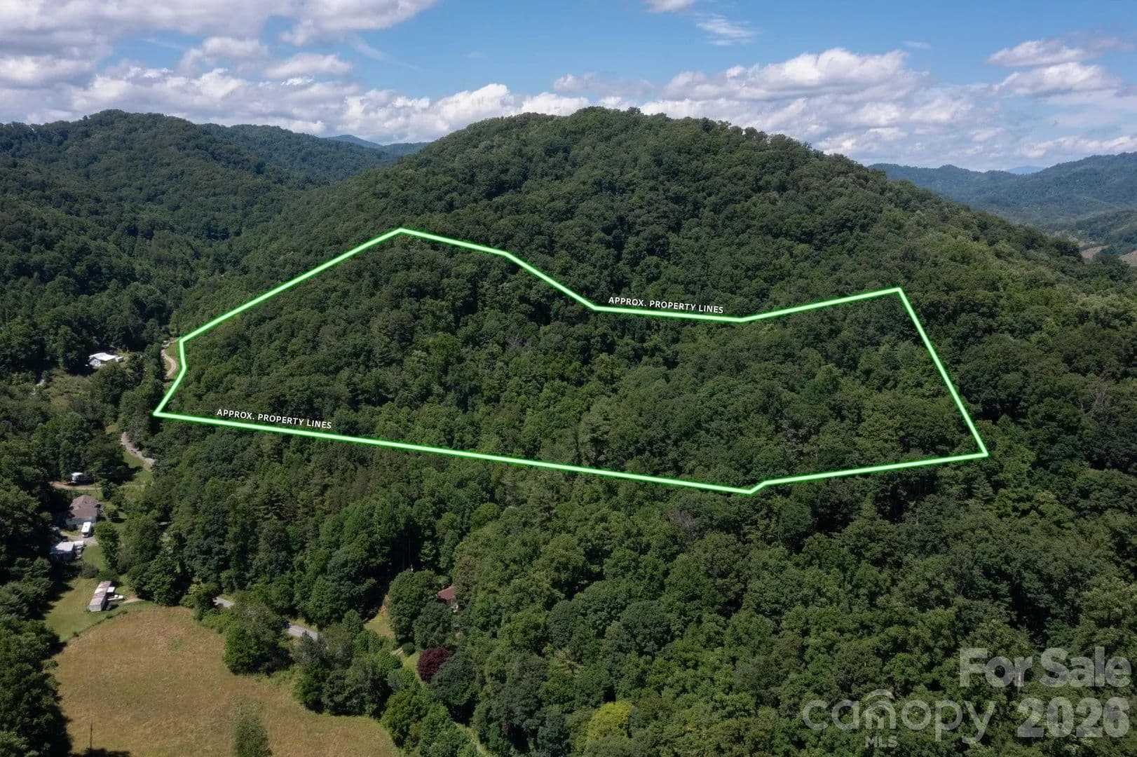 18.36 Acres of Land for Sale in Mars Hill, NC - Mars Hill, North Carolina, 28754