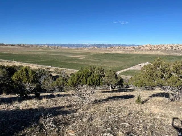 Lots & Land-Other in Mayfield