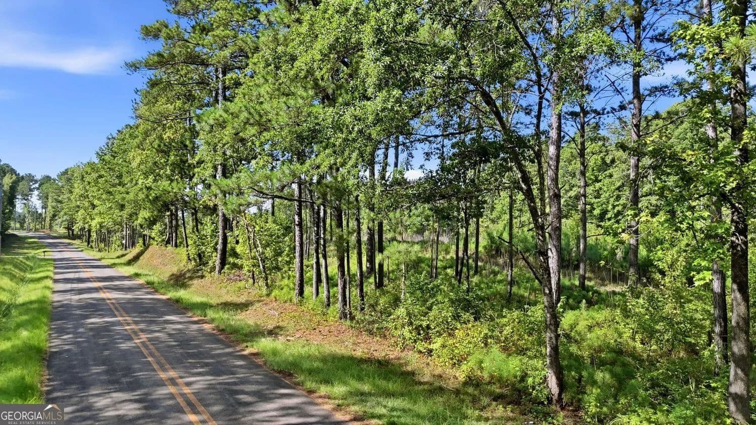 Lots & Land-Other in Forsyth - Forsyth, Georgia, 31029